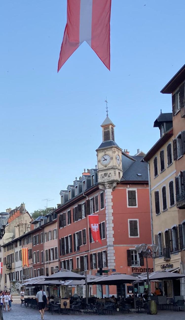 Moonlight Apartment Chambéry Exterior photo